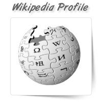 Wikipedia Profile Writing